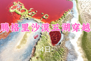 【腾格里沙漠五湖穿越】6-11月：腾格里4天3晚五湖穿越52KM徒步，感受这座西北古城的气息