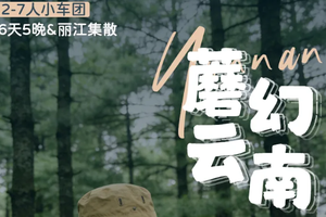 【蘑幻云南6日】6-9月：山野探索记·Pro｜2-7人｜夏季云南专属，野生菌主题深度之旅，丽江+香格里拉+沙溪+大理