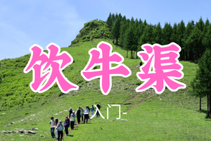 已成团！转发免单！强领队！今年最火爆之一！89元起！【饮牛渠10公里】端午6.19|探秘太行清凉峡谷，人少景美