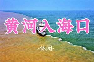已成团！大巴出行！端午6.18晚-6.20【黄河入海口】|赏黄河口奇观『鸳鸯锅』-孤东海堤-黄河楼-魏氏庄园