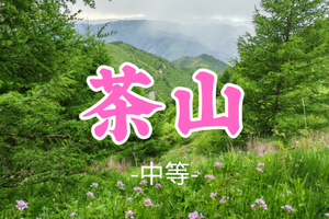 转发免单！即将成团！89元起！【茶山12公里】端午6.21|风车草甸-云海旷野-原生态山脊