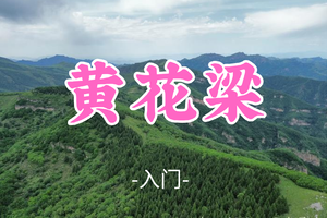 转发免单！即将成团！59元起！【黄花梁8公里】周四6.25|北京周边的阿勒泰-醉美山脊9公里环穿