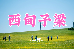 成团！转发免单！99元起！【西甸子梁16公里】端午6.20|万亩高山草甸，京郊高山休闲徒步之旅