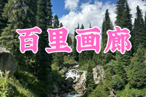 转发免单！即将成团！阳光领队！59元起！【百里画廊】端午6.21|在山水边解锁地质奇观与四季风光」