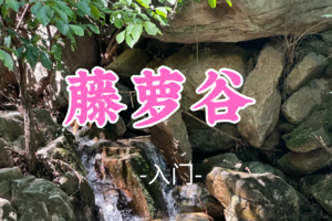 转发免单！即将成团！小丸子领队！49元起！【藤萝谷8公里】端午6.21|远离城市喧嚣，拥抱自然