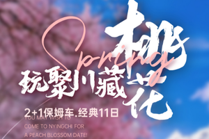 3-4月【玩聚川藏桃花节】此生必驾318升级2+1保姆车，赏尽人间春色从公路到峡谷，从田园到山坡，从雅江畔到雪山