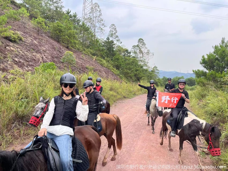 微信图片_20250728125202_640