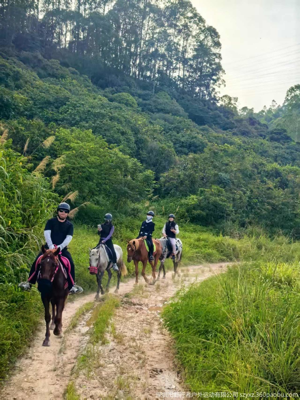 微信图片_20250707195054_271