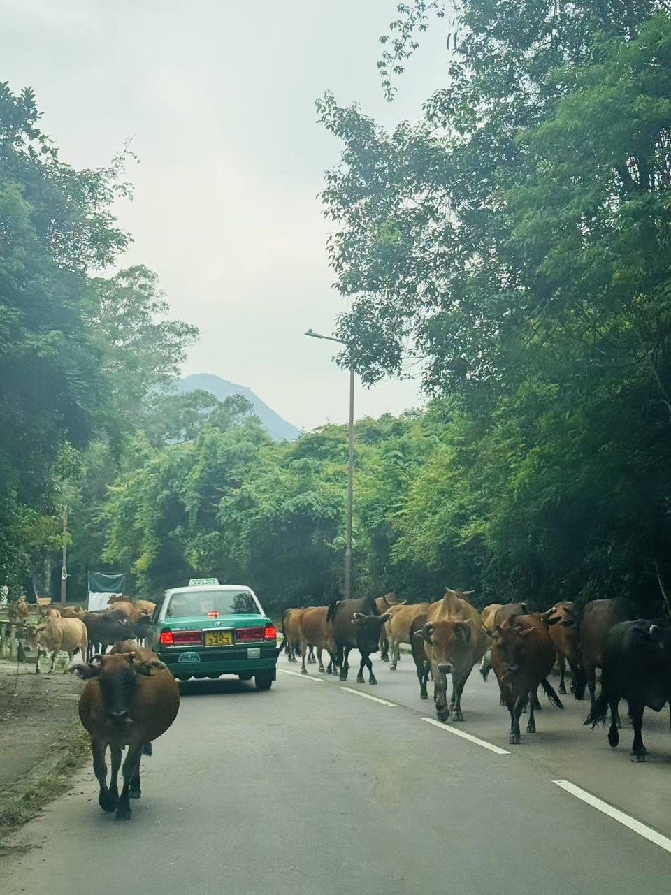 微信图片_20250731140314_265