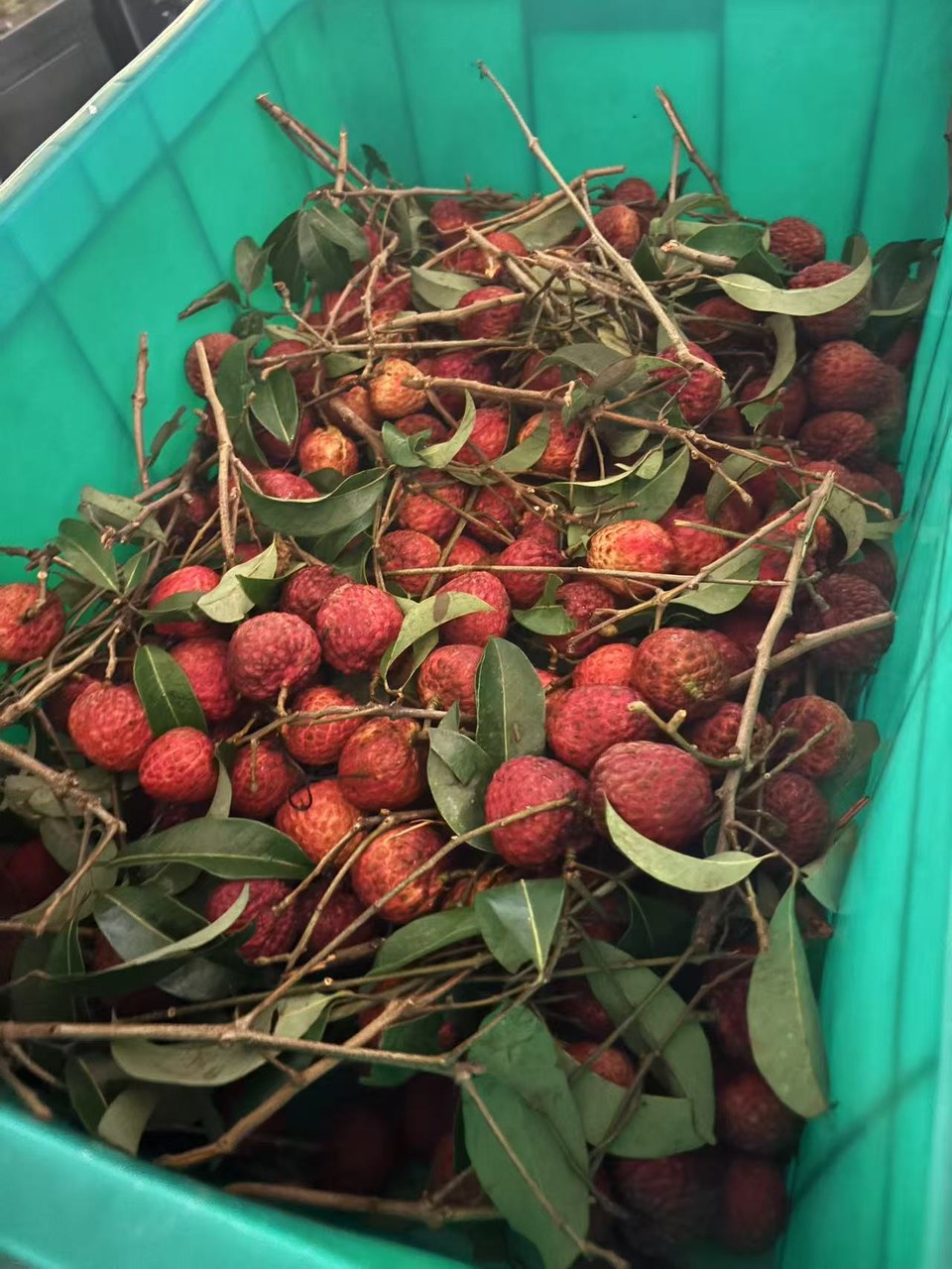 微信图片_20250807152011_274