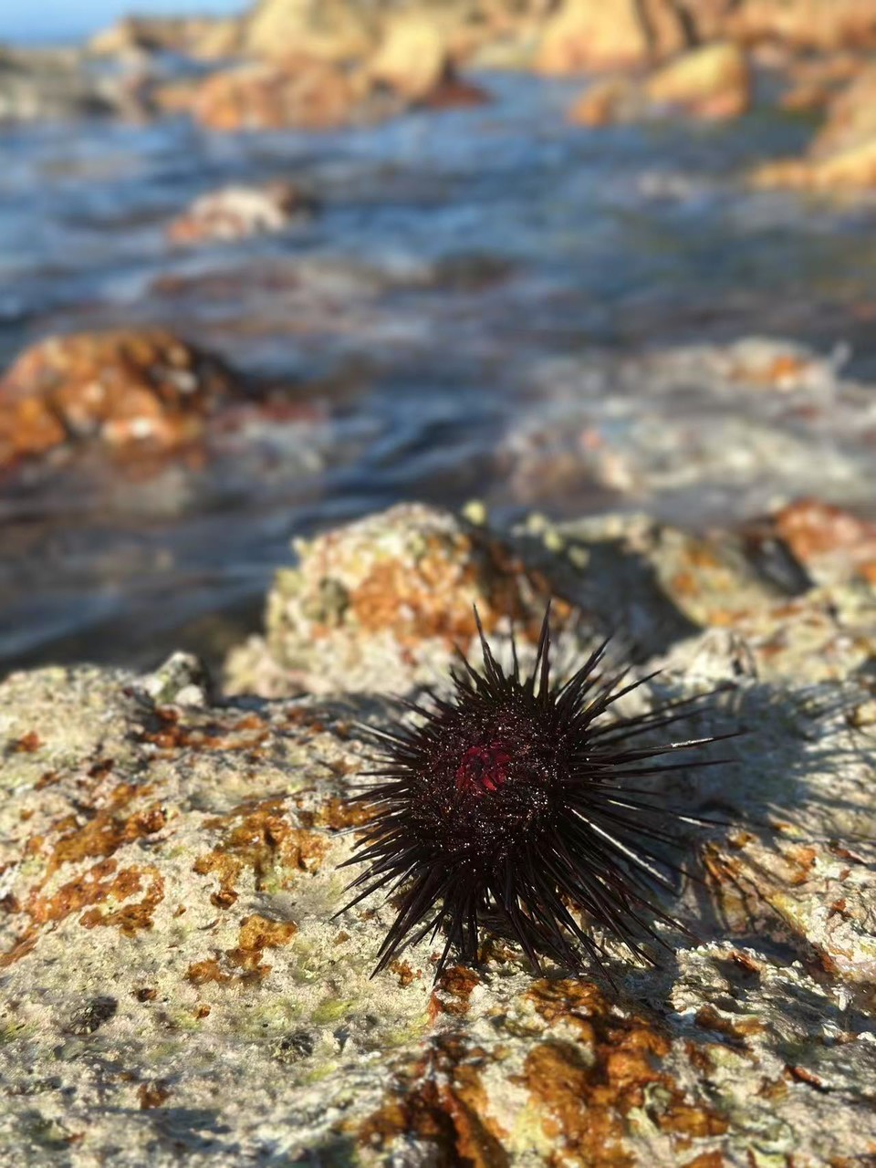 微信图片_20250810131845_208