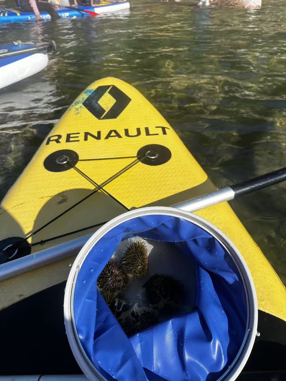 微信图片_20250810131845_213