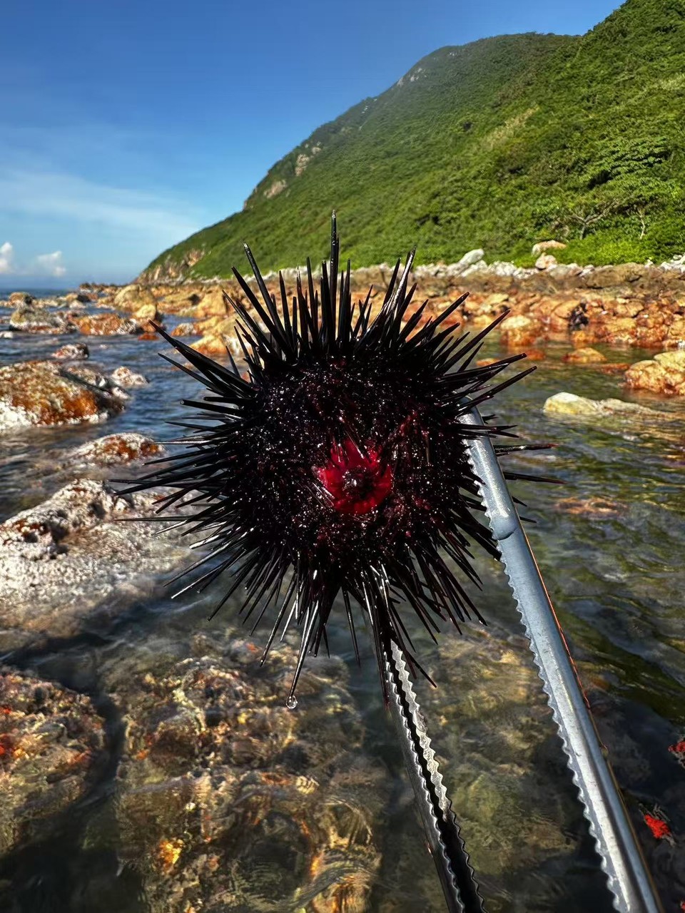 微信图片_20250810131846_190