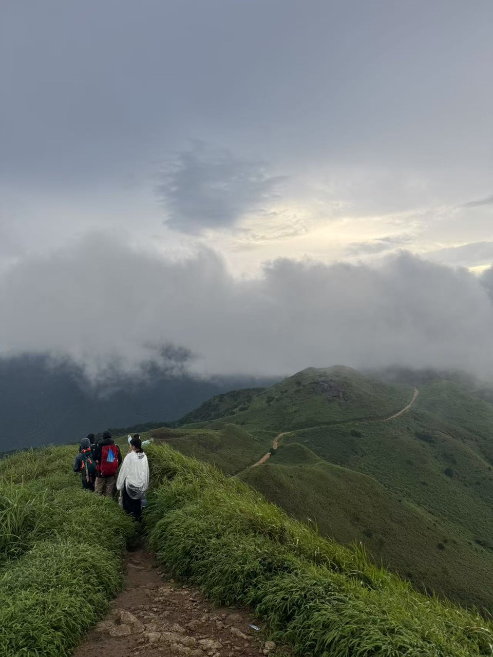 微信图片_20250818131638_325