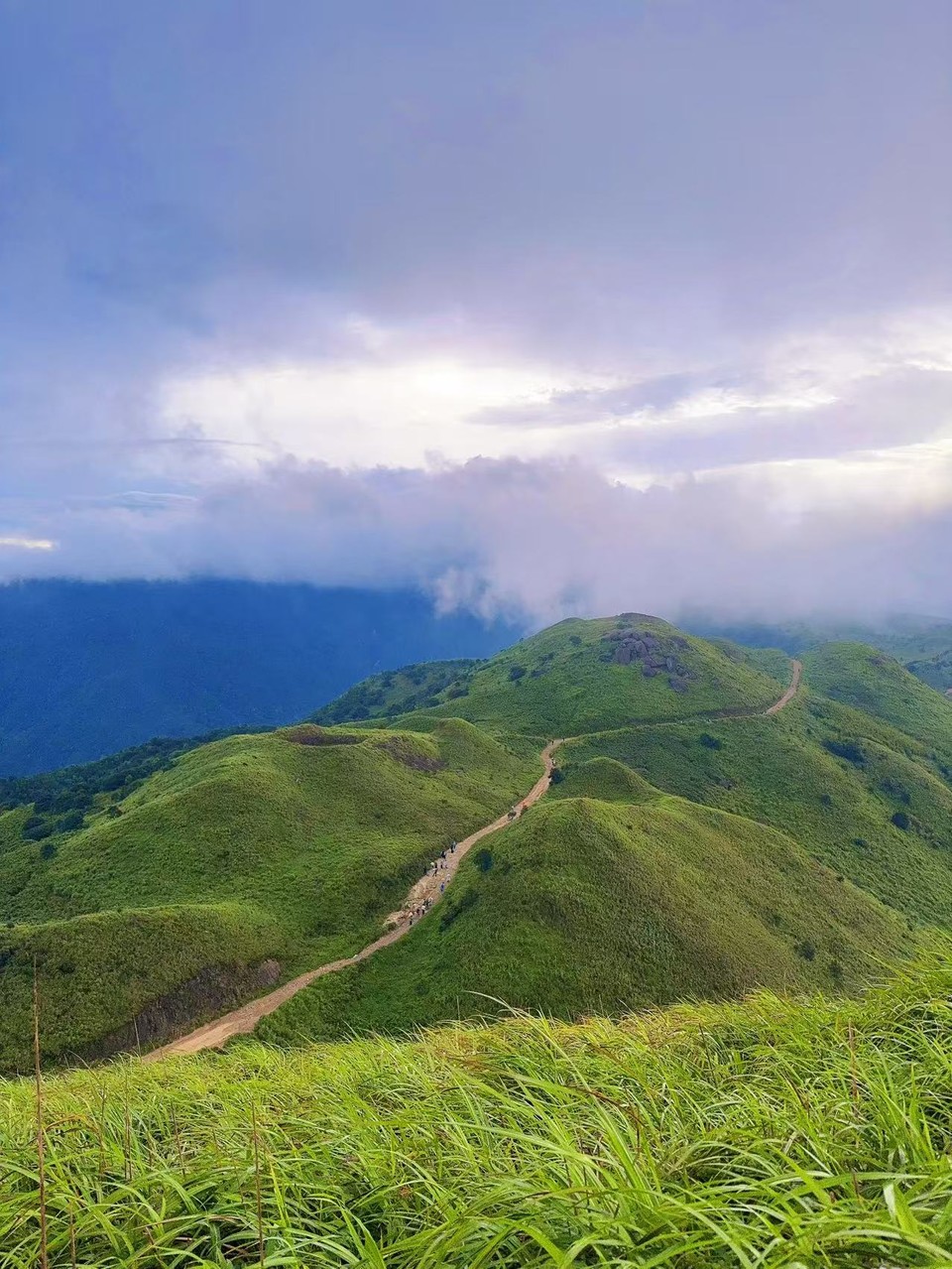 微信图片_20250818131638_395