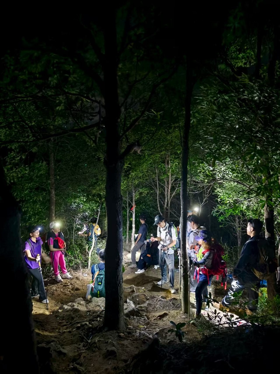 微信图片_20250818131639_286