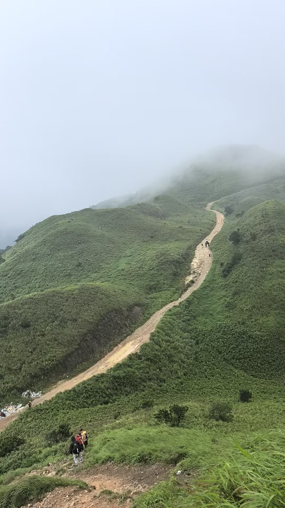 微信图片_20250818131639_305