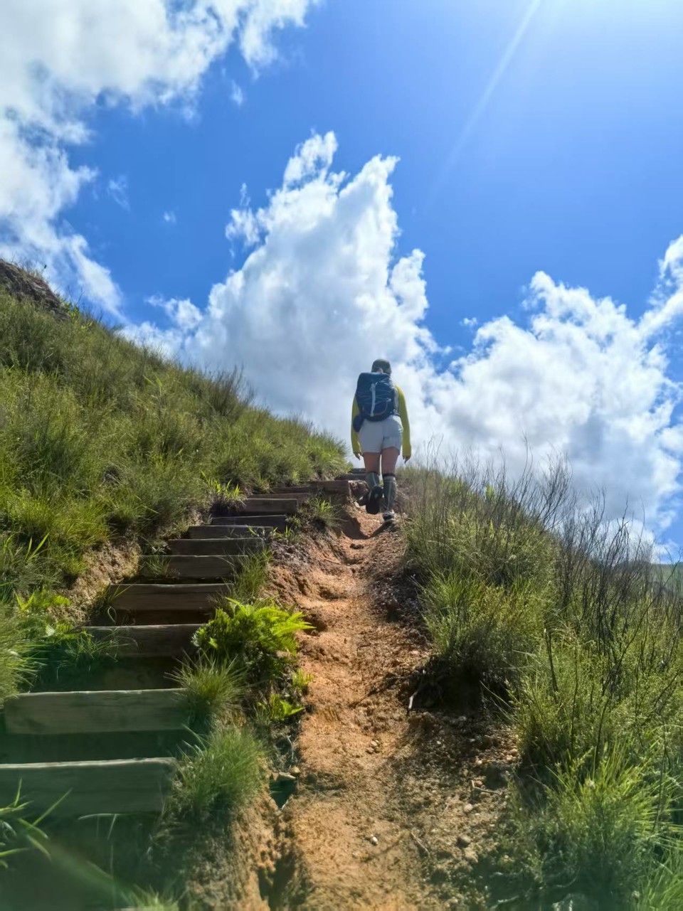 微信图片_20250818132201_272