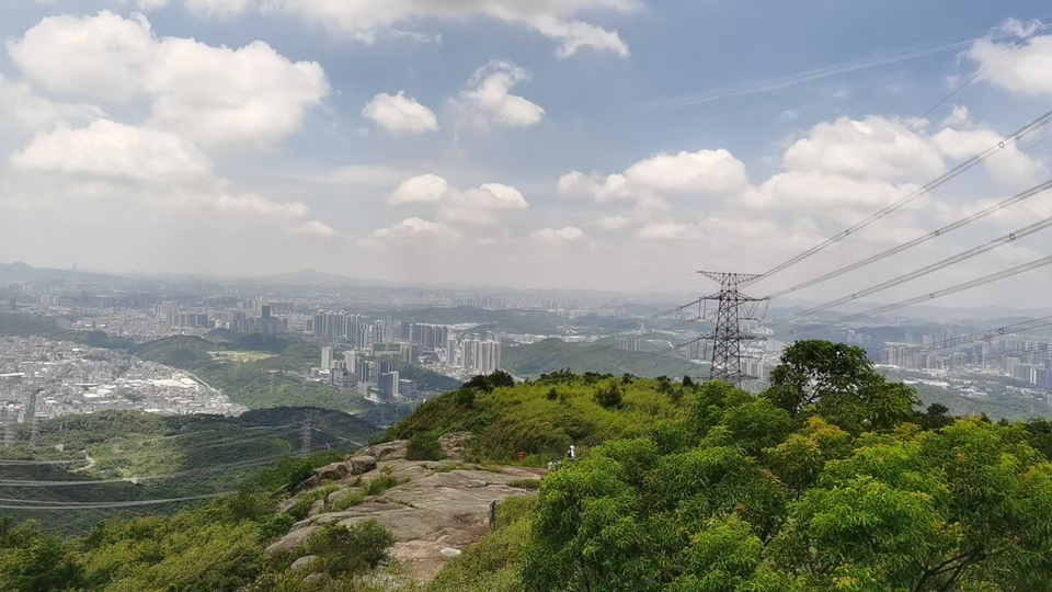 微信图片_20250823120236_474_2949