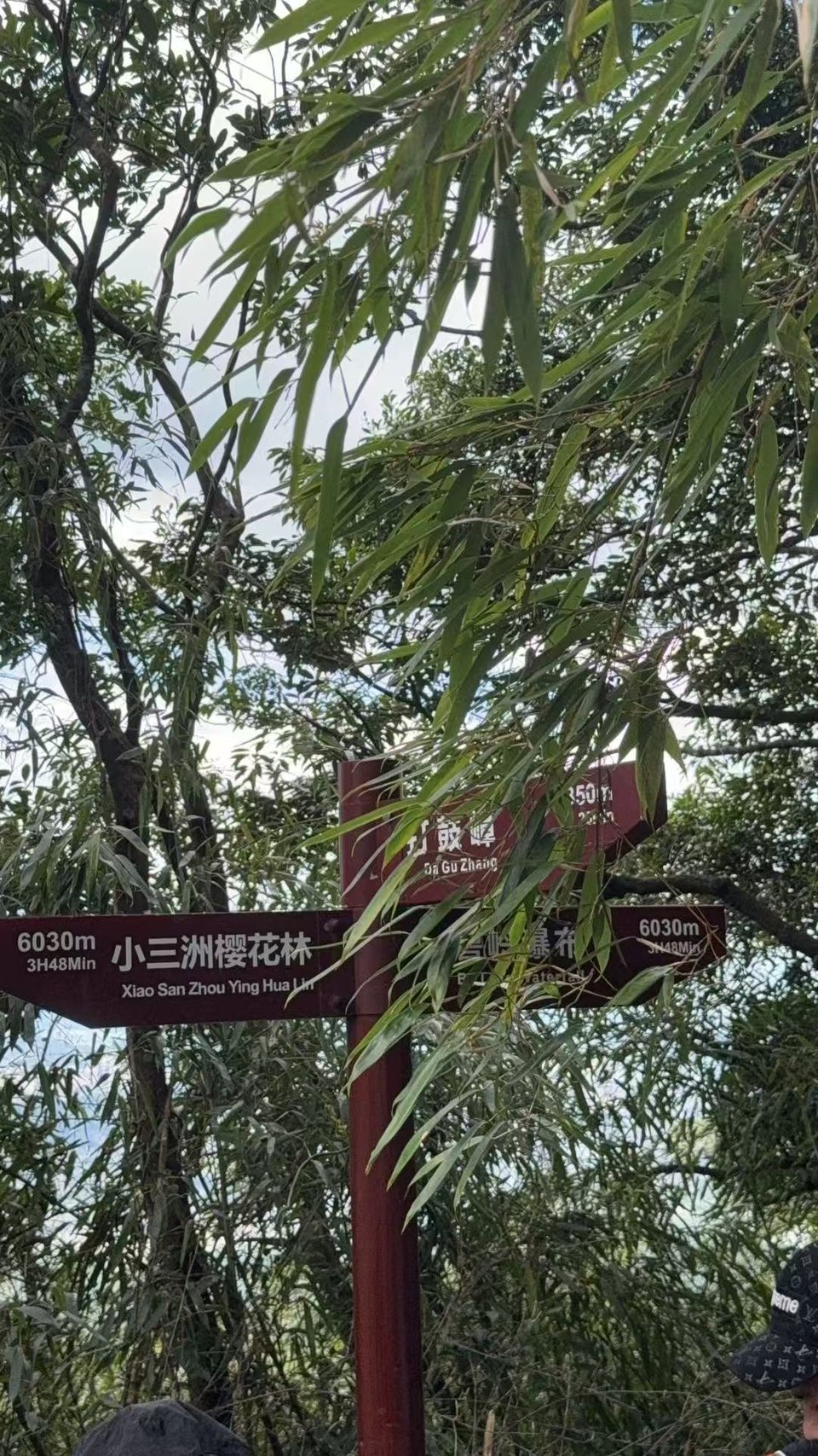 微信图片_20250823134650_525_2949