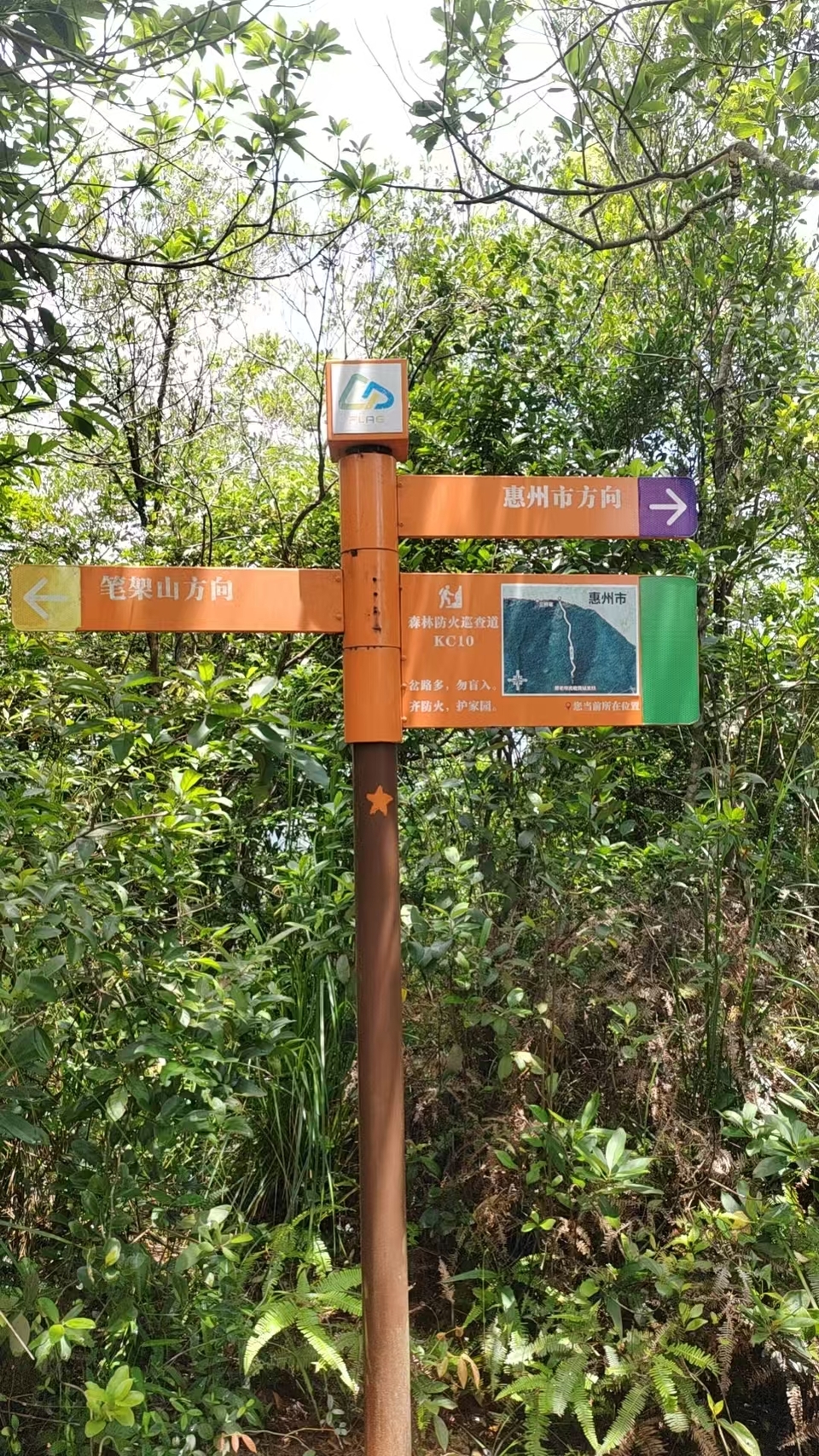 微信图片_20250824114723_833_2967