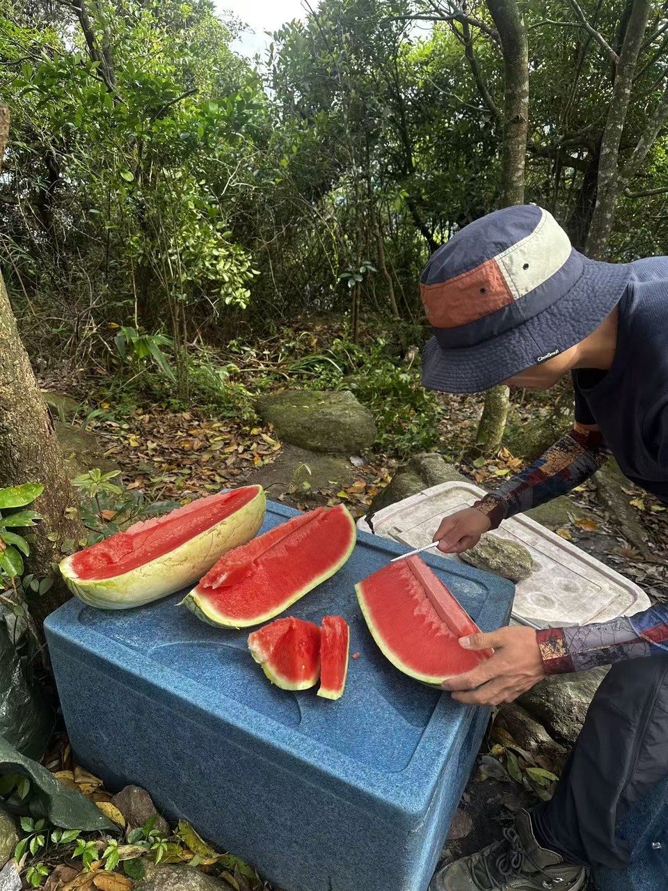 微信图片_20250824184205_1065_2967