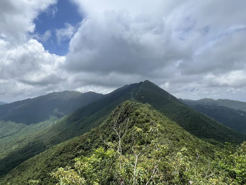 微信图片_20250824184631_1079_2967