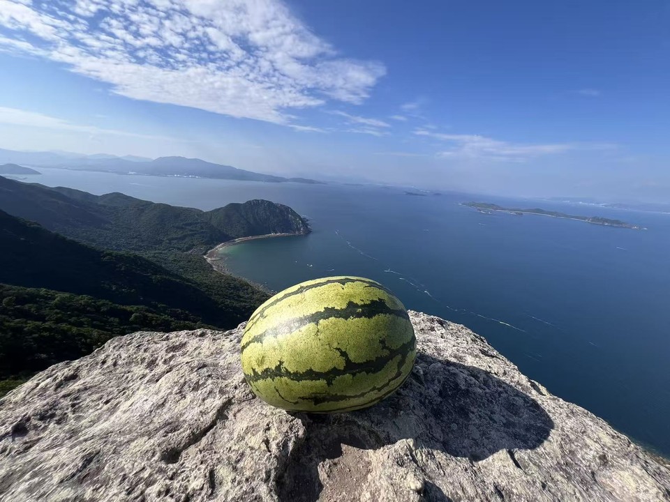 微信图片_20250908203922_191_150