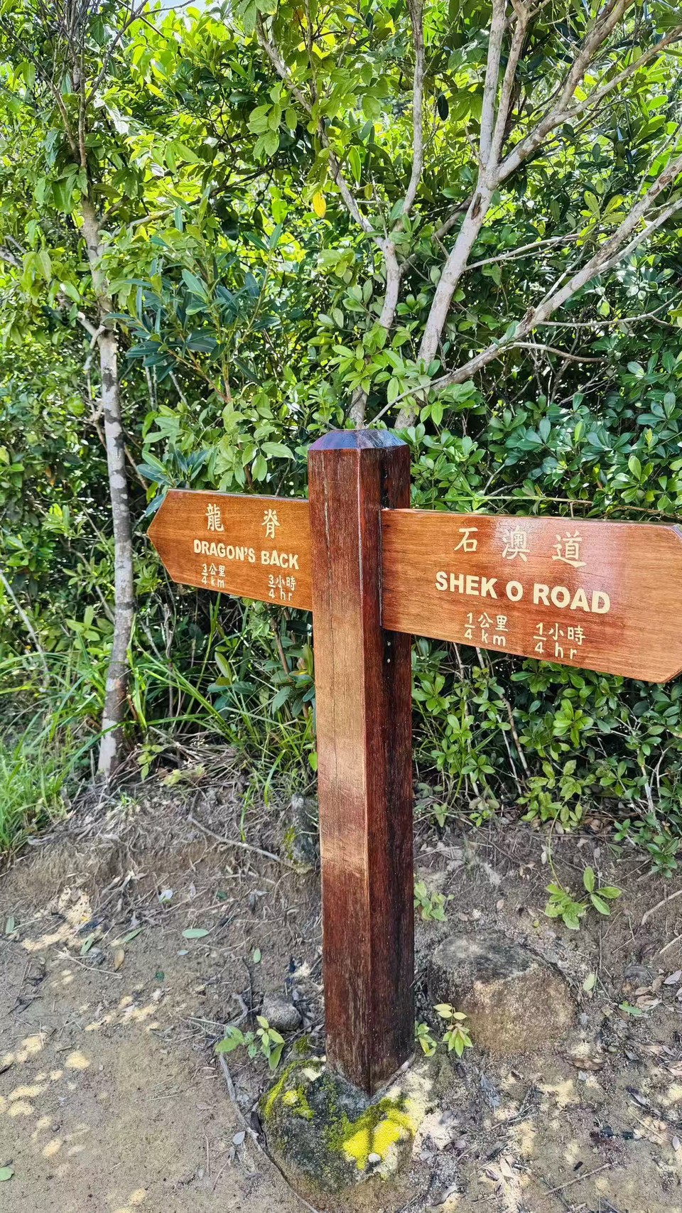 微信图片_20250910110214_461_3238