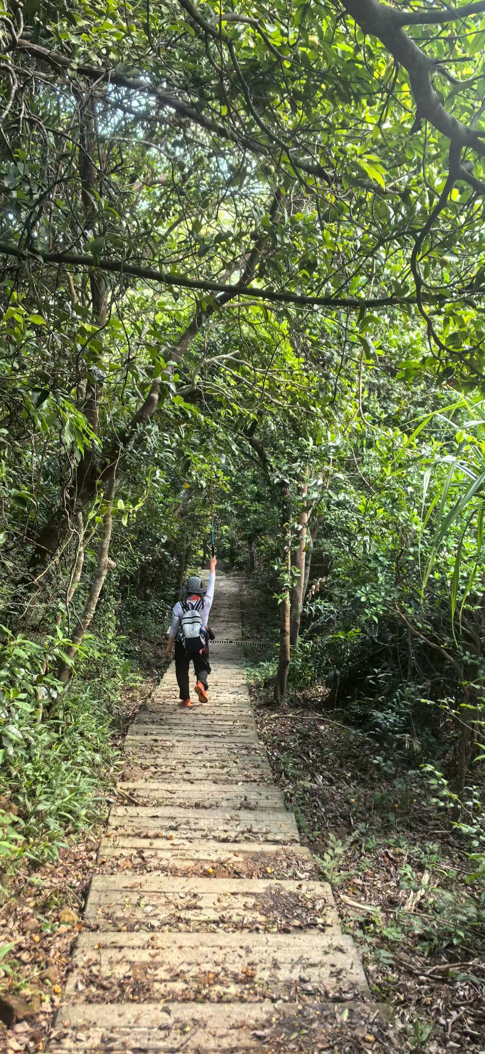 微信图片_20250910155634_495_3238