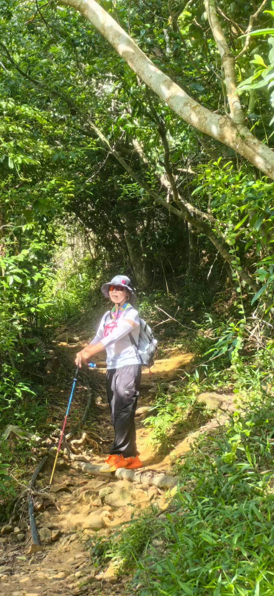 微信图片_20250910160142_500_3238