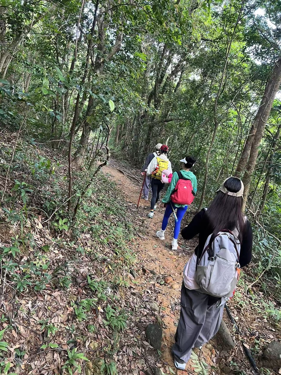 微信图片_20250910172819_644_3238