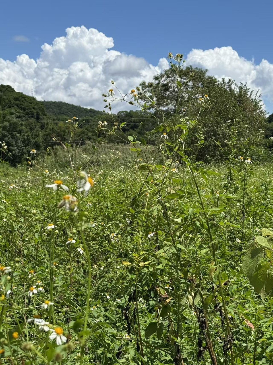 微信图片_20250911122621_161_3265