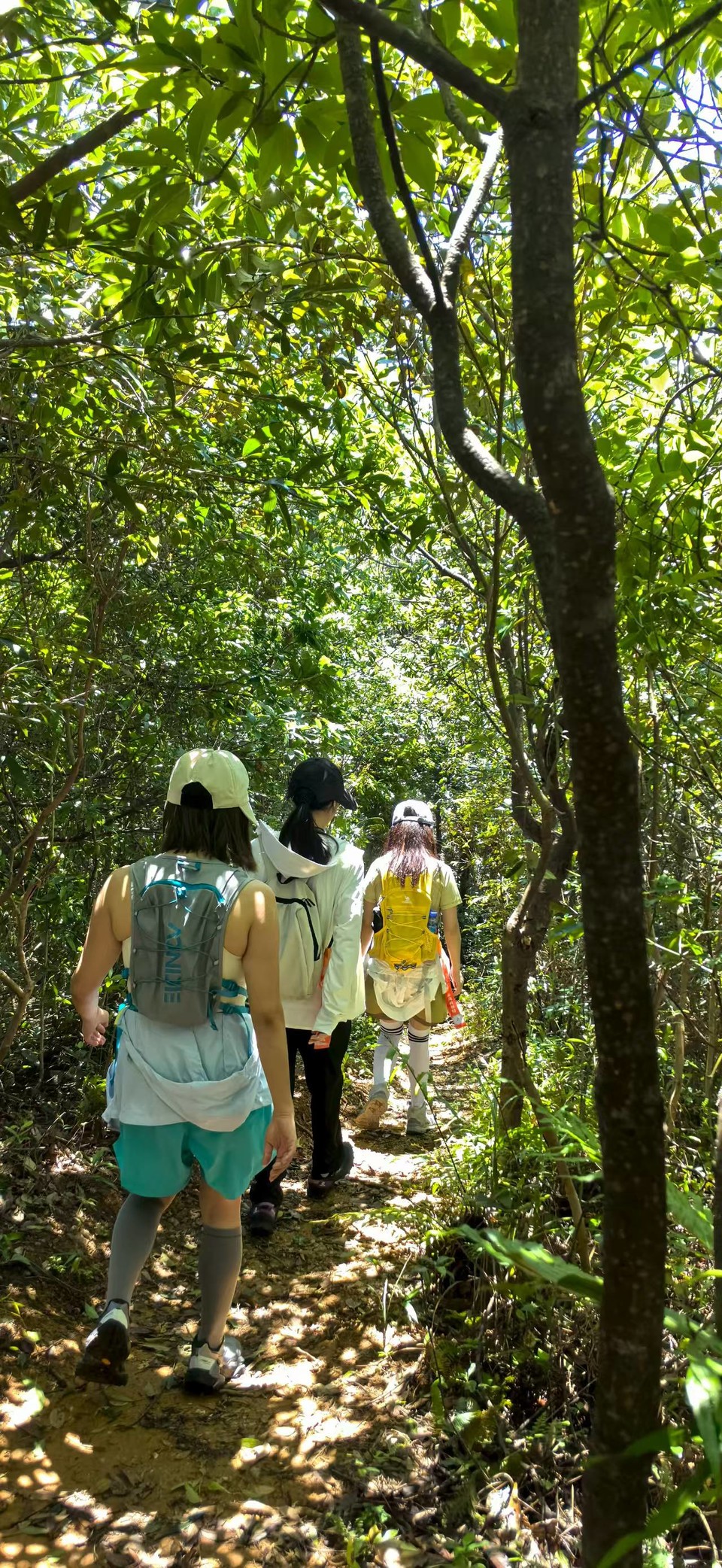 微信图片_20250911122836_170_3265