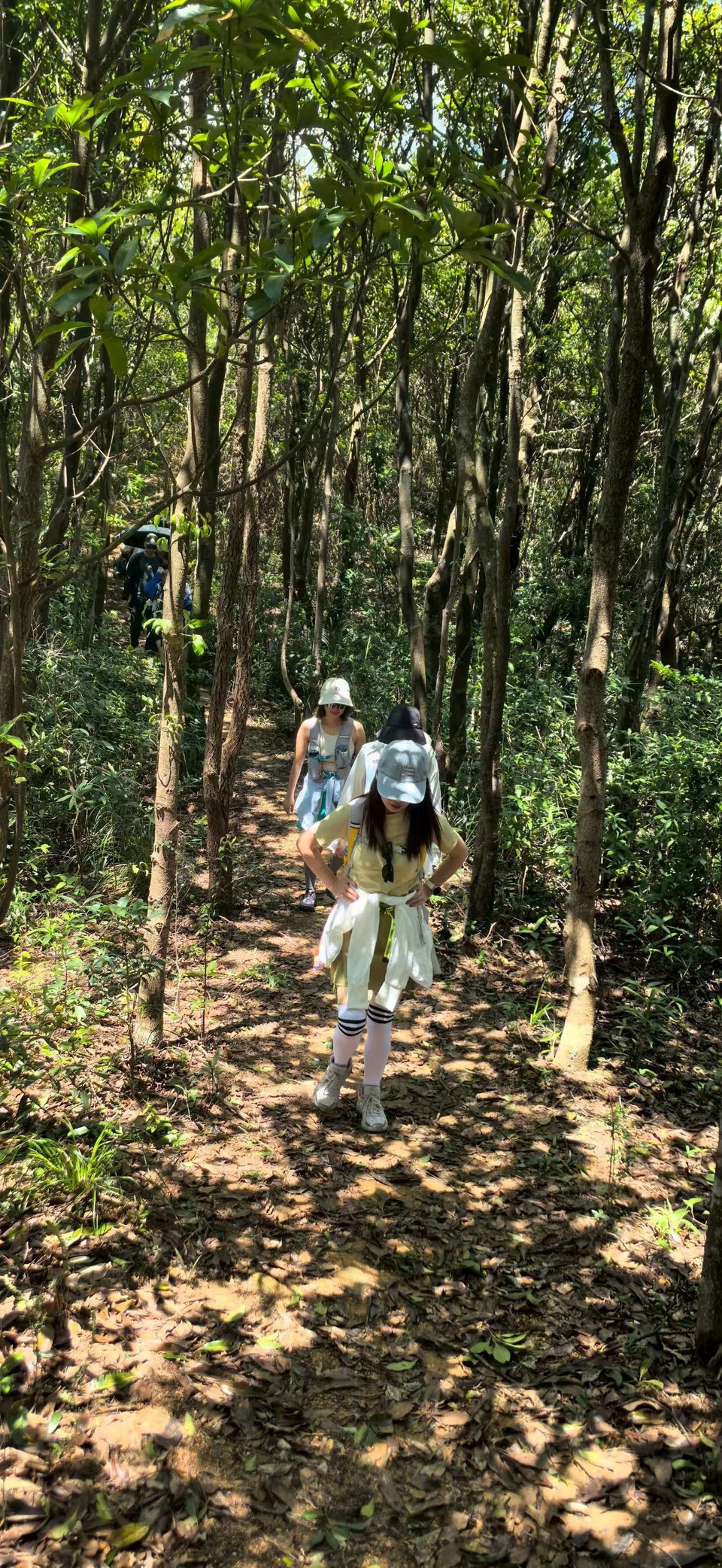 微信图片_20250911122846_173_3265