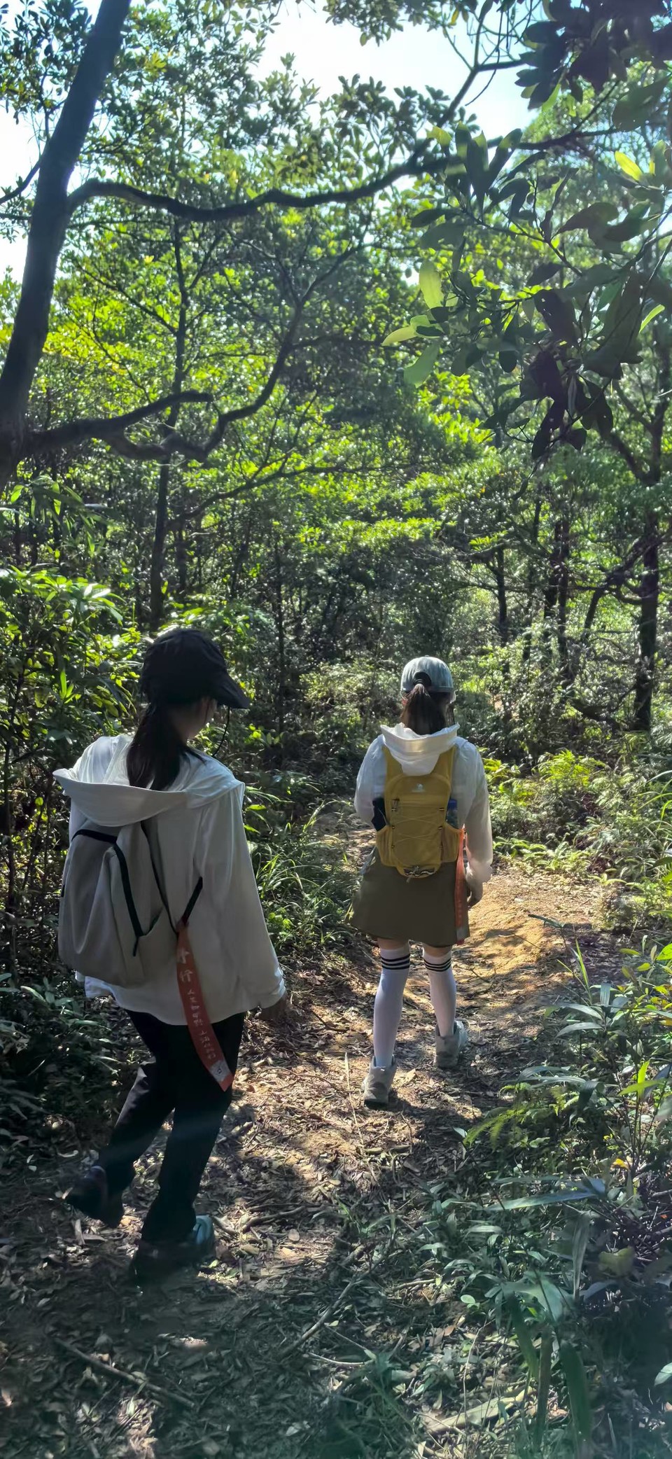 微信图片_20250911154845_200_3265