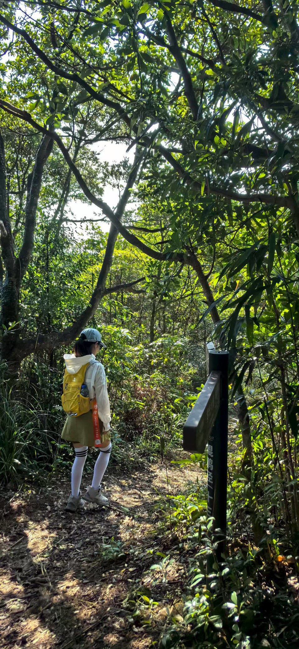 微信图片_20250911154902_202_3265