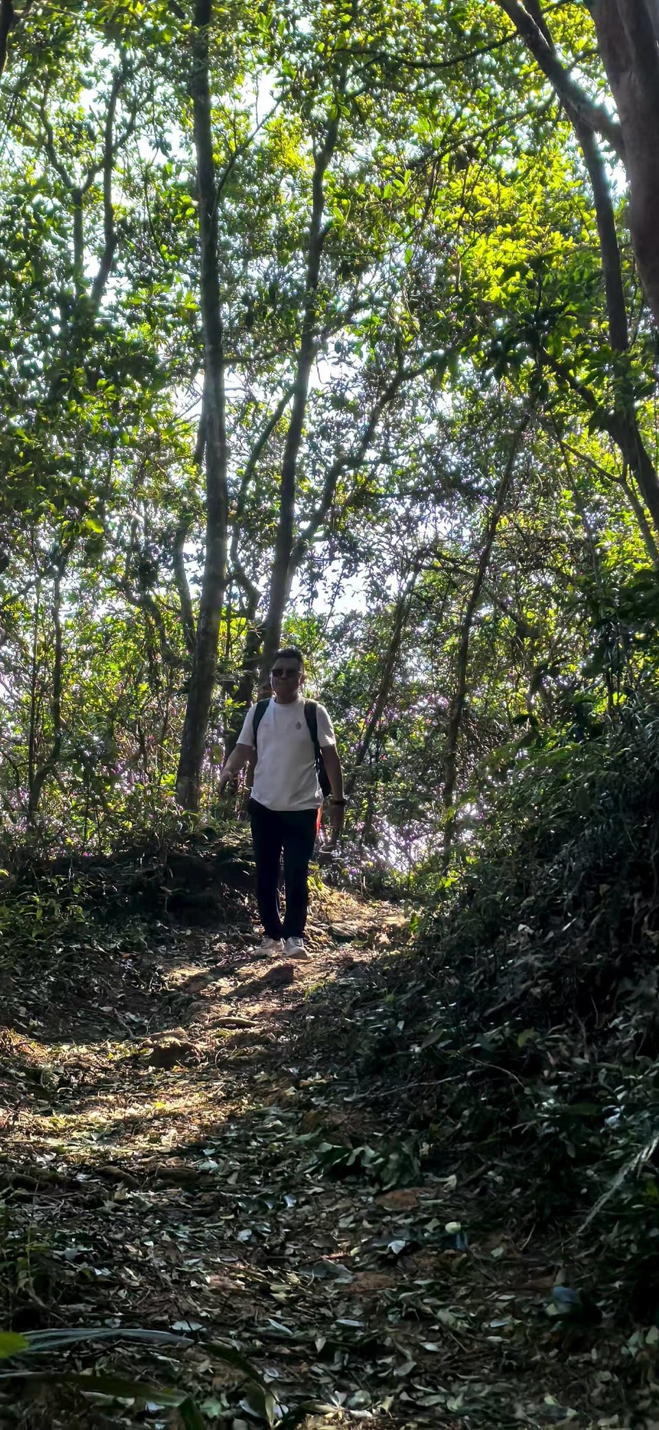 微信图片_20250911155256_207_3265