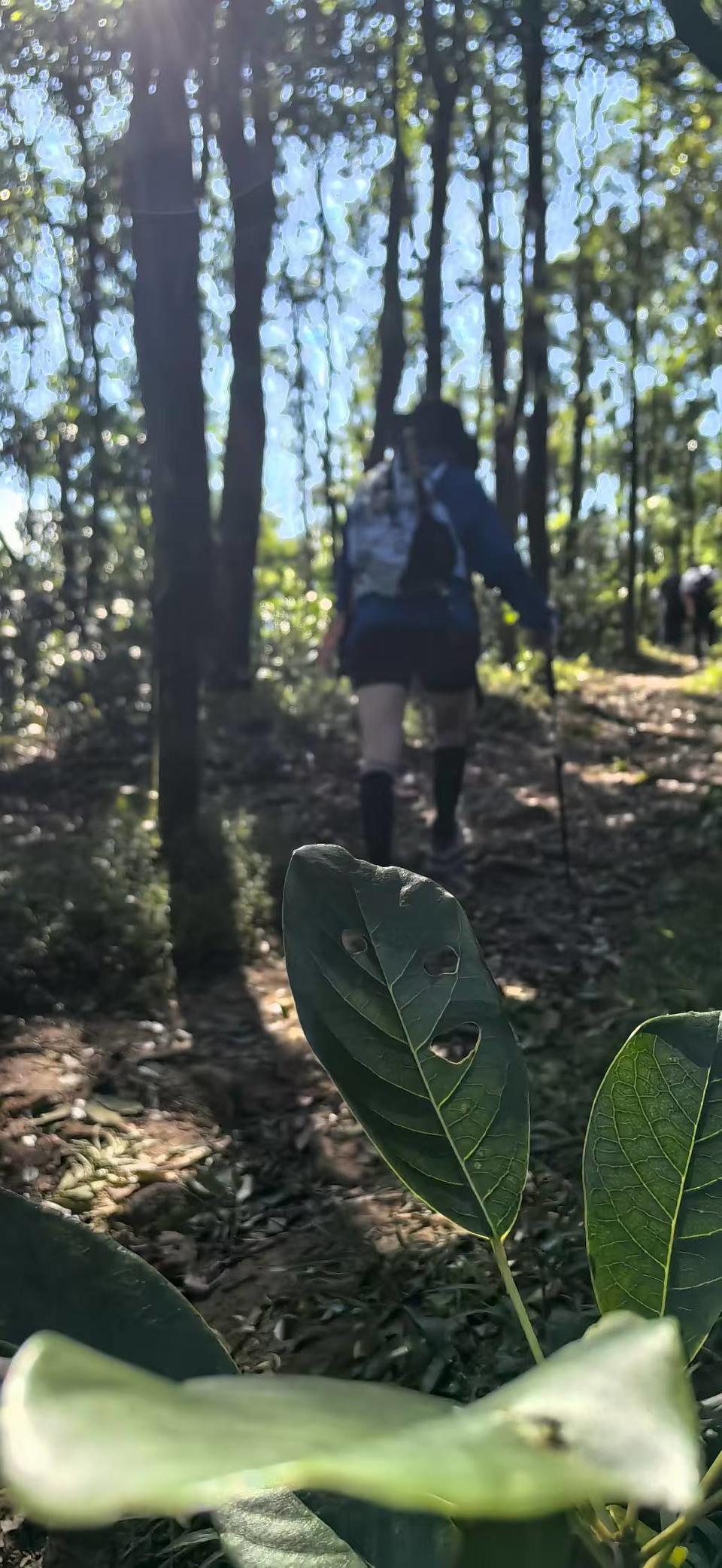 微信图片_20250911155257_208_3265