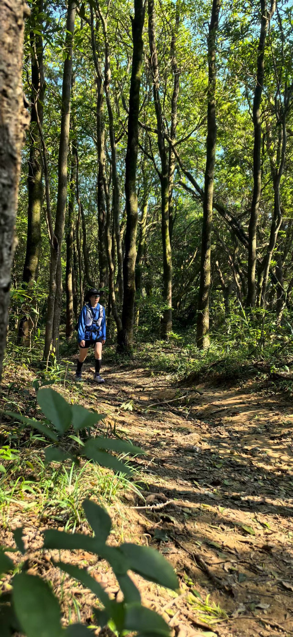 微信图片_20250911155300_210_3265