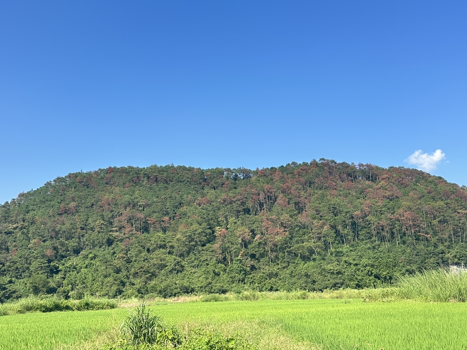 微信图片_20250913200241_1585_3251