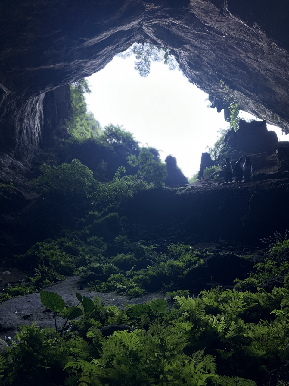 微信图片_20250913213413_1717_3251