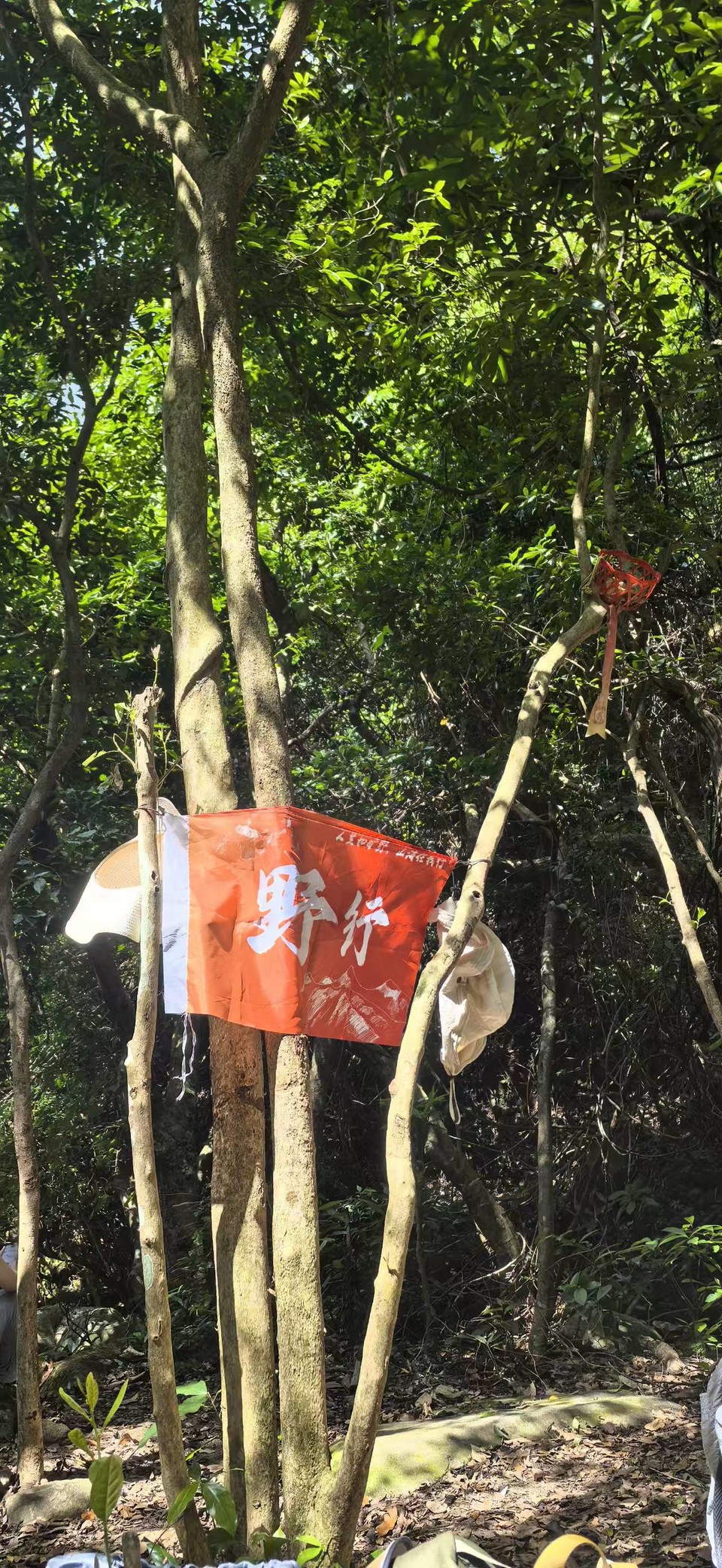 微信图片_20250918152654_178_3417