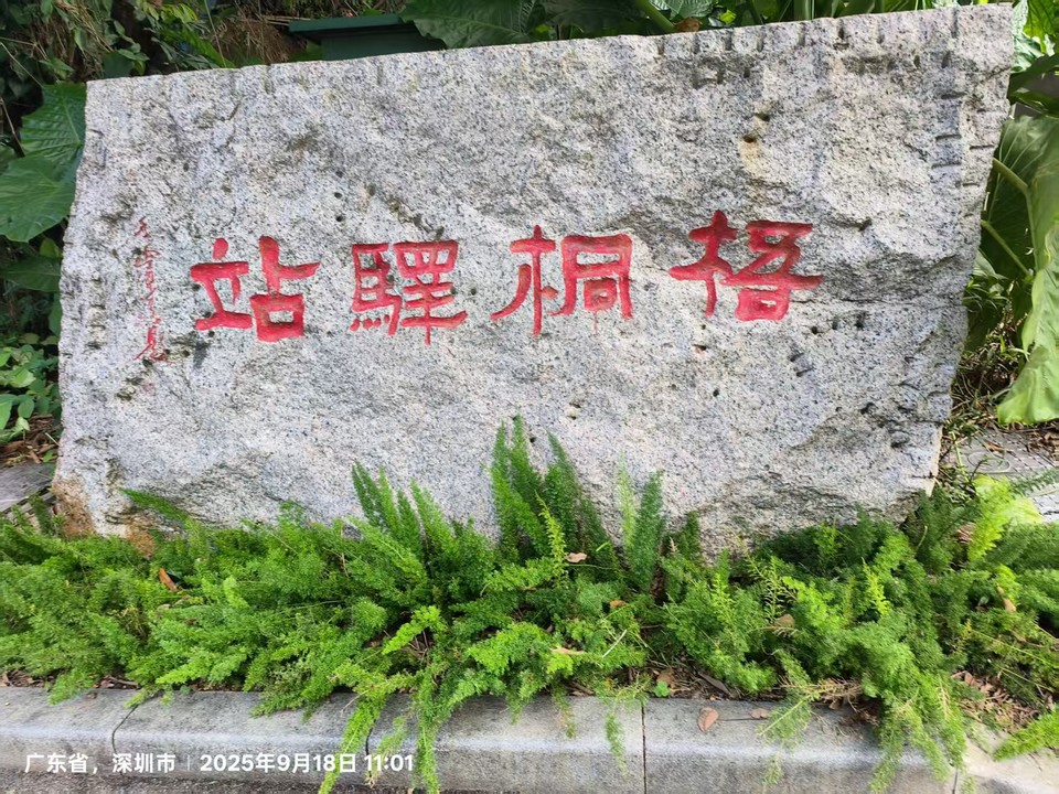 微信图片_20250918153759_232_3417