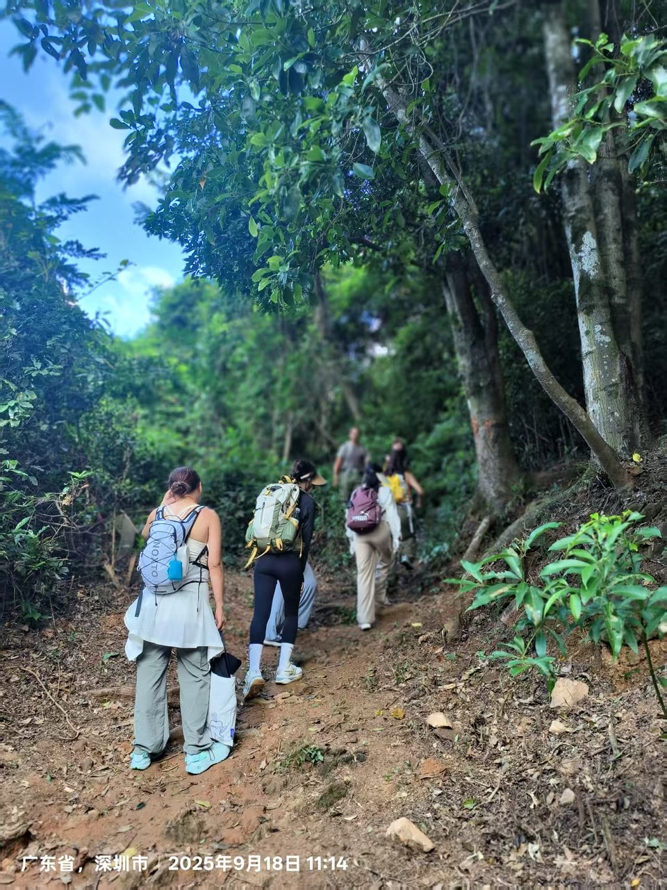 微信图片_20250918154045_255_3417