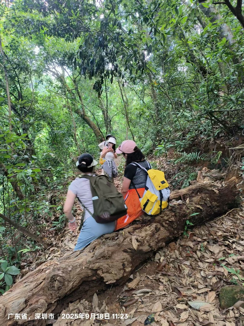 微信图片_20250918154121_265_3417