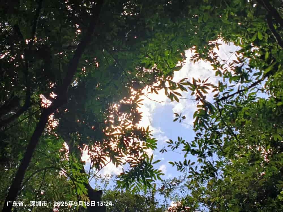 微信图片_20250918154433_338_3417