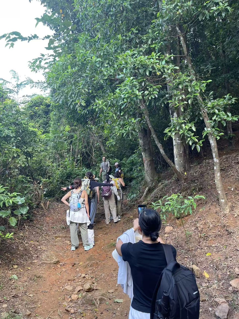 微信图片_20250918183157_417_3417