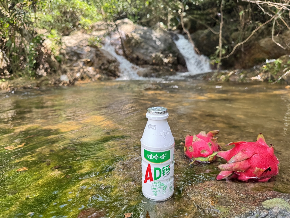 微信图片_20250927114935_231_3651