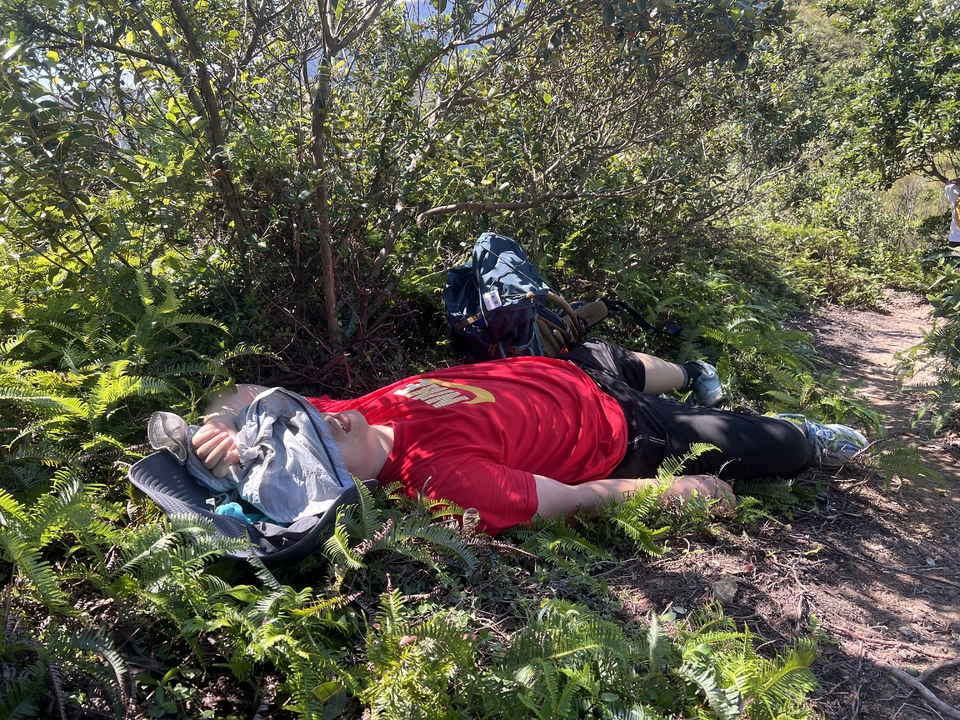 微信图片_20251001194417_100_3696